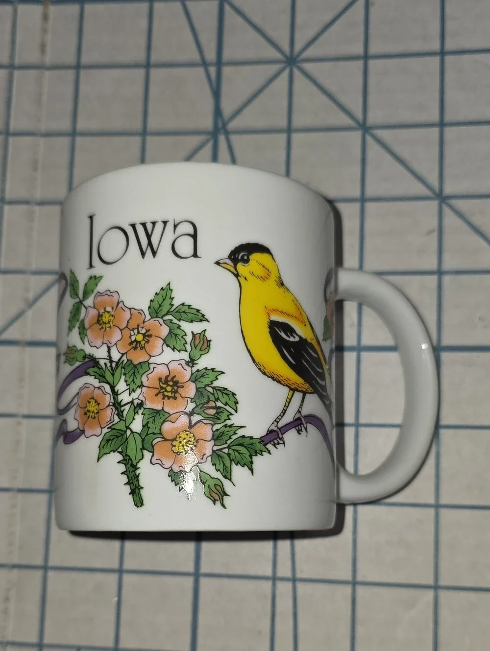 Iowa Souvenir Ceramic Mug with Yellow Goldfinch Design, Gently Preloved